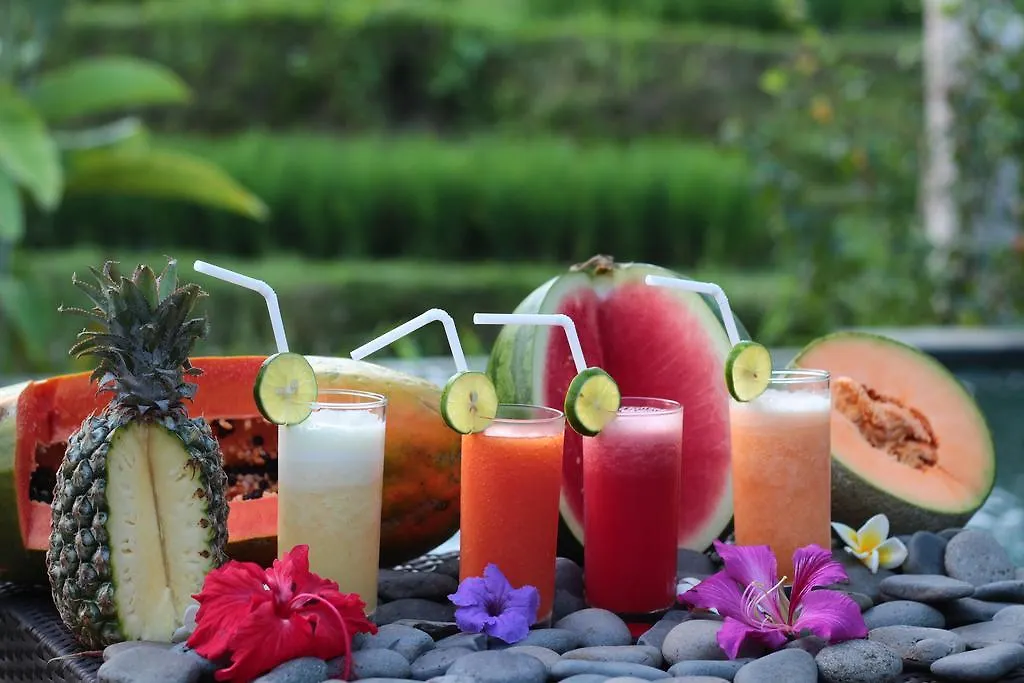 Sandana Ubud Villa Indonesia